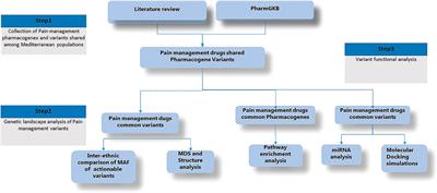 Pharmacogenetic landscape of pain management variants among Mediterranean populations